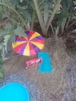 Florian Marcandella Florian Marcandella