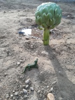 Andrea Fauvel Andrea Fauvel