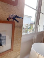 Louis Frattini Louis Frattini