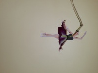 Emma Lavaud Emma Lavaud