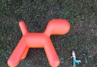 Mathilde Mestre Mathilde Mestre