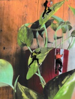 Mattéo Ouvrard Mattéo Ouvrard