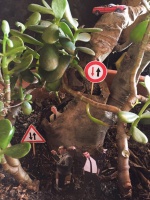 Maxime Panche Maxime Panche